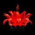 ใ ใณใฉ ; โง ๐๐LฬณLฬณ๐ .แ.แ ใ (@abrutalsaiyan) Twitter profile photo ใ ใณใฉ ; โง ๐๐LฬณLฬณ๐ .แ.แ ใ (@abrutalsaiyan) Twitter profile photo