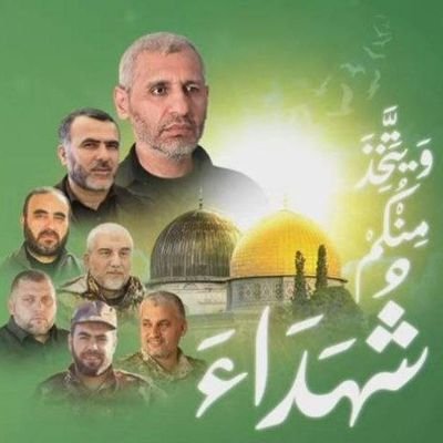 CherifahmedMoh2's profile picture. 