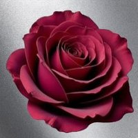 Essa Sims Writer (@essasimswriter) 's Twitter Profile