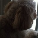 Nancy McFadden - @TRX2012 - Twitter