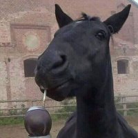 louciérnaga (@lousciendome) 's Twitter Profile Photo louciérnaga (@lousciendome) 's Twitter Profile Photo