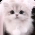 ℳ🩵 (@_tws_247_42) Twitter profile photo ℳ🩵 (@_tws_247_42) Twitter profile photo