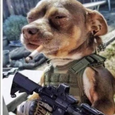 m00nchile's profile picture. #NoGrüne #NoSPD #NoCDU/CSU #NoFDP #NoAfD #NoLinke