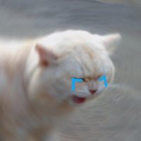netflkxnchill (@thechickenblala) 's Twitter Profile