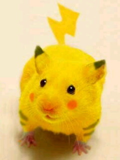 あろはだょ❤らいとおたく❤おもしろい人とかわいい人だいすき❤️不倫する奴は死ね🖕❤️気になる人フォーしてるよ❤️YouTubeとかミクチャとか見てる❤
