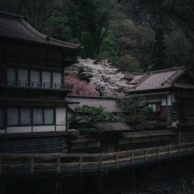 ekkothecutestt's profile picture. gay