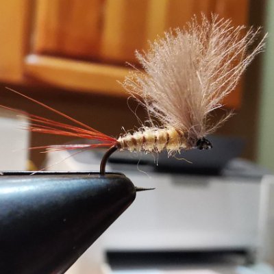 flajfisermen's profile picture. ČOVEK JE ONO ZA ŠTA SE BORI...