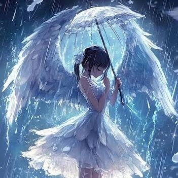 AddisonAar84395's profile picture. The deal is still a deal