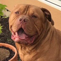 Carrie4Liberty (@carrie4liberty) 's Twitter Profile Photo Carrie4Liberty (@carrie4liberty) 's Twitter Profile Photo