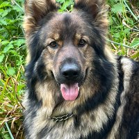 Rufus🏴🇬🇧 (@robertjudd4) 's Twitter Profile