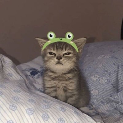 halleymisim's profile picture. 