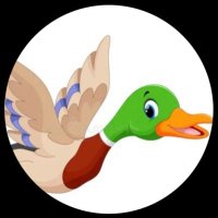 H the Duck (@h_theduck) 's Twitter Profile Photo H the Duck (@h_theduck) 's Twitter Profile Photo