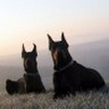 Retired conservative professor. Let’s talk truth.
Investments - BTC, Nano Nuclear (NNE), Gold