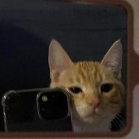 Boopy (@lowkeyym3) 's Twitter Profile Photo Boopy (@lowkeyym3) 's Twitter Profile Photo