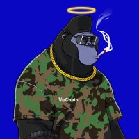 Cpt.leverage (@captain_chavez) 's Twitter Profile