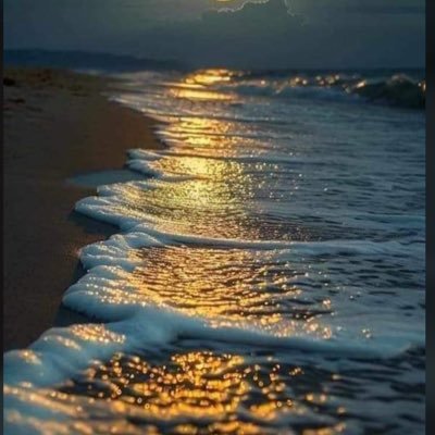 ihsan01334's profile picture. Law, Master 🕊