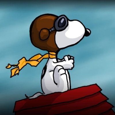 raceetox's profile picture. redacted speculating | @fnftradinghub