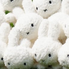 구독계 for subscribing account / I love miffy 🐰rabbit うさぎ 🐹 hamster ハムスター モルモット 🐢 turtle 亀 💕 / desserts 🍰💕 ケーキ tea お茶