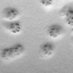 ᯓ ᡣ𐭩 snowy yume !!! (@sn0wyyume) Twitter profile photo ᯓ ᡣ𐭩 snowy yume !!! (@sn0wyyume) Twitter profile photo