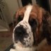 Hattie (@edmondsonsandra) Twitter profile photo Hattie (@edmondsonsandra) Twitter profile photo