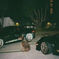 Andrew (@dddrewww22) 's Twitter Profile Photo Andrew (@dddrewww22) 's Twitter Profile Photo