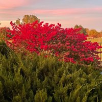 Phonseheart (@phonsewilson) 's Twitter Profile Photo