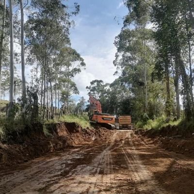 Pavi_zapatoca's profile picture. 