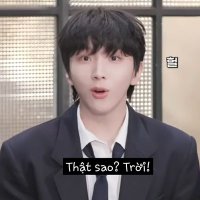 ngốc (@quytqut00426694) 's Twitter Profile