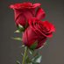 Alaa Abda (@alaaabda384812) Twitter profile photo Alaa Abda (@alaaabda384812) Twitter profile photo