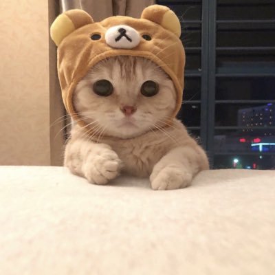 前の垢🧊なった。ワンピースが大好きです。ウタとヤマト推しです。にじさんじ、ホロライブが大好きです。宝鐘マリン、白銀ノエル、星川サラが大好き❤️ゲームが趣味です。