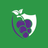 Shield4grape (@shield4grape) 's Twitter Profile Photo Shield4grape (@shield4grape) 's Twitter Profile Photo