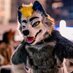 Paladin 🐺🔜LVFC (@paladinwulfie) Twitter profile photo Paladin 🐺🔜LVFC (@paladinwulfie) Twitter profile photo