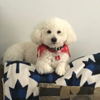 Jodi Lanzarotta 🥅🏒 (@jl8282) 's Twitter Profile Photo Jodi Lanzarotta 🥅🏒 (@jl8282) 's Twitter Profile Photo