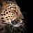 morphs24's profile image