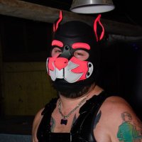 Pup Extortion 🔜 Howl Newcastle 2.0 (@pup_extortion) 's Twitter Profile Photo Pup Extortion 🔜 Howl Newcastle 2.0 (@pup_extortion) 's Twitter Profile Photo