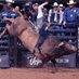 Carlos Vega (@carlosvega35098) Twitter profile photo Carlos Vega (@carlosvega35098) Twitter profile photo