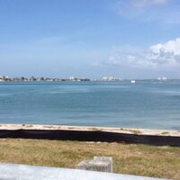 Mary Sutton (@marysutton1) 's Twitter Profile Photo