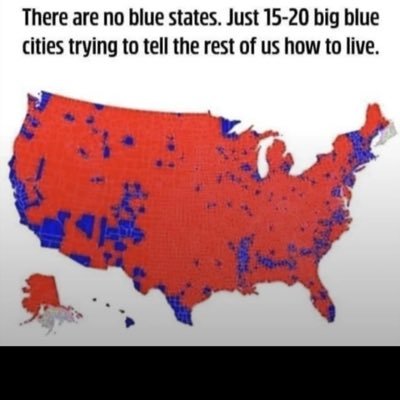 herronf67's profile picture. 