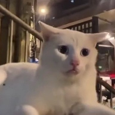 ASSA370190's profile picture. 