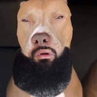 white ❄️ (@whiteeditz) 's Twitter Profile Photo white ❄️ (@whiteeditz) 's Twitter Profile Photo