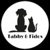 Tabby and Fidos Cat Cafe (@tabby_fidos) Twitter profile photo Tabby and Fidos Cat Cafe (@tabby_fidos) Twitter profile photo