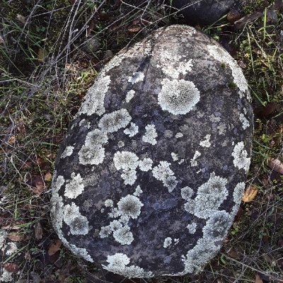 paulric00473645's profile picture. Jackson Wyoming expat. Misanthrope. American made. No DMs please.