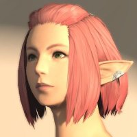 Qさんとステっちの冒険とアレの日々 | FF14 (@q3ff14) 's Twitter Profile