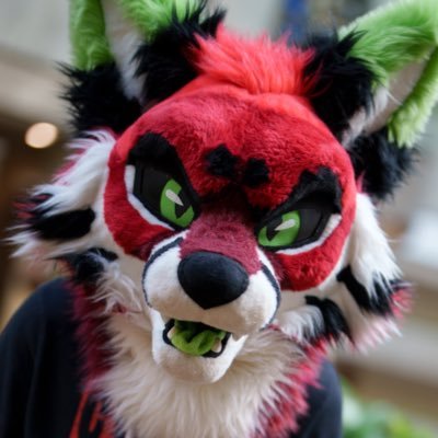 🏳️🌈 / Smol and Foxy / DNI if under 18 / Party enjoyer and snug enthusiast / ❤️ @kylesnaps
