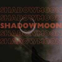 sʜᴀᴅᴏᴡᴍᴏᴏɴ ᴘᴀᴄᴋ (@shadowmoonpack) 's Twitter Profile