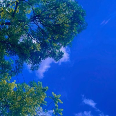 tiaselvi_'s profile picture. 