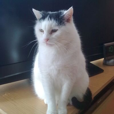 AleksanderPaw11's profile picture. 