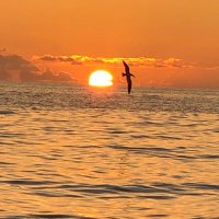 Matthew Sennet (@sennetmatt3) 's Twitter Profile