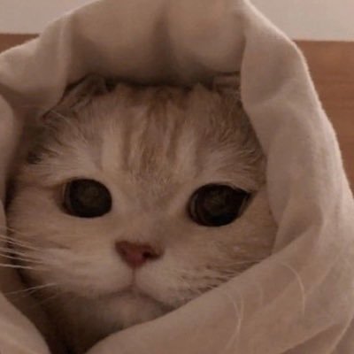jurtzz's profile picture. ⊹₊⋆☁︎⋆⁺₊⋆ ☀︎ ⋆⁺₊⋆☁︎⋆₊ ⊹
