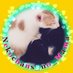 ねこちゃんずのママ(NATSUHA)🧢🐨😸😸🎁 (@8ch31) Twitter profile photo ねこちゃんずのママ(NATSUHA)🧢🐨😸😸🎁 (@8ch31) Twitter profile photo